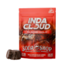 indacloud