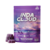 INDACLOUD