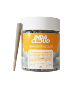 INDACLOUD
