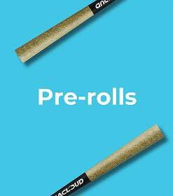 Pre-Rolls